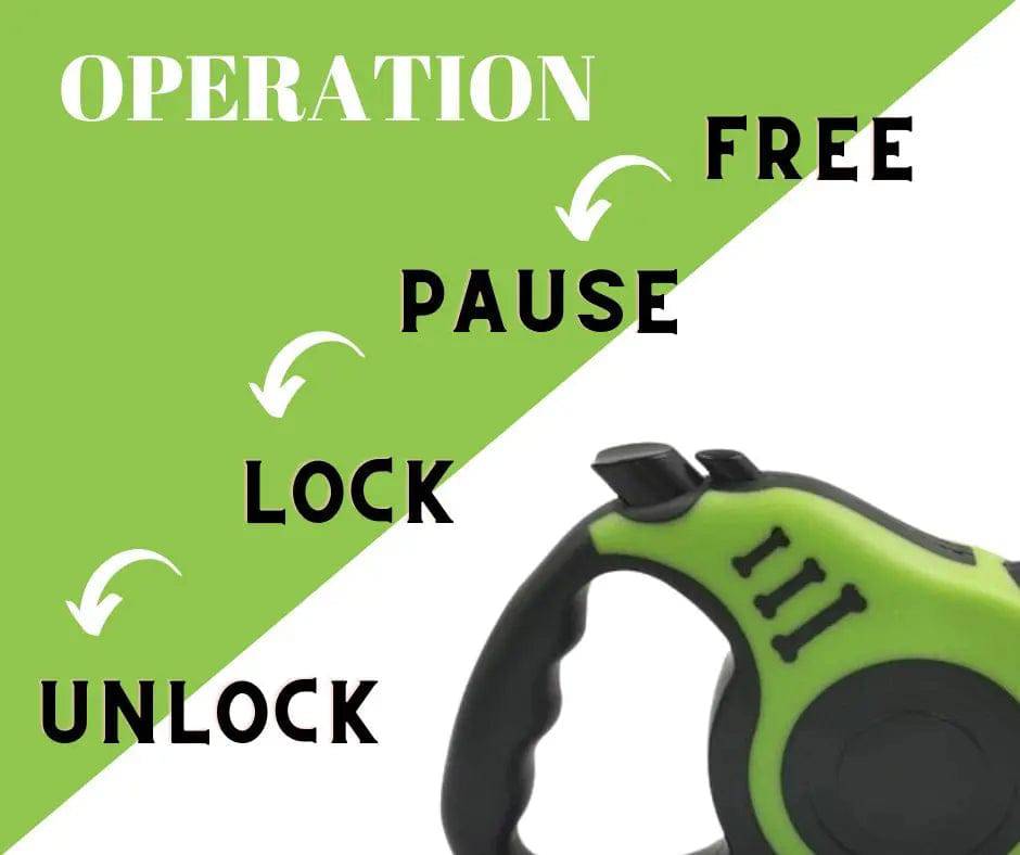Green Dog Leash 3m 5m Durable Leash Automatic Retractable Nylon Cat Lead Extension Puppy Walking Running Lead Roulette For Dog - TrendyPet's Zone