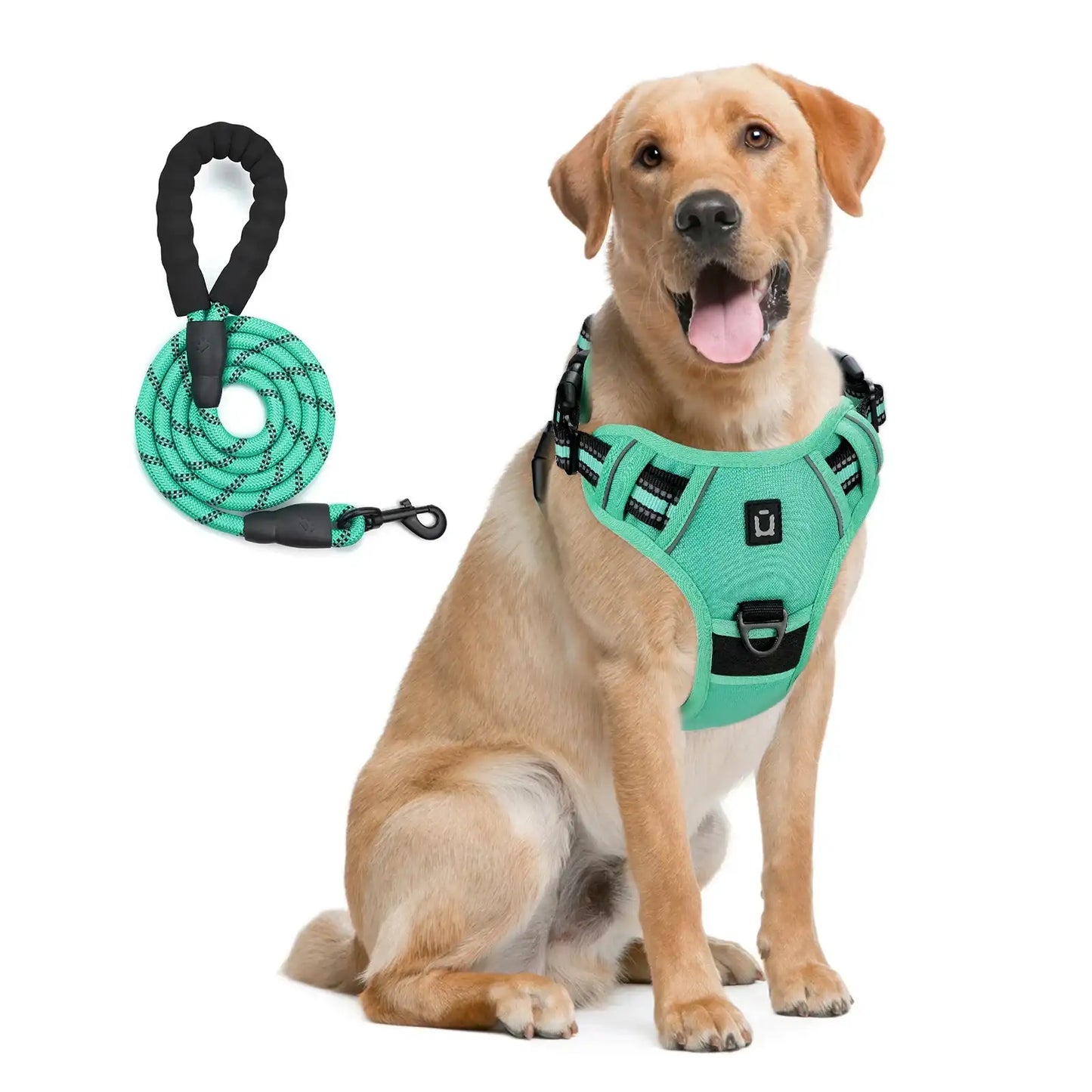Green No-Pull Dog Adjustable Harness with Easy Control Handle TrendyPet's Zone