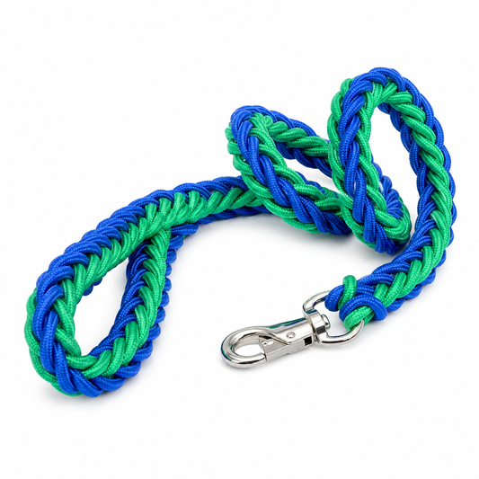 Green and blue nylon dog leash with double row adjustable collar for medium to large dogs, from TrendyPet's Zone.