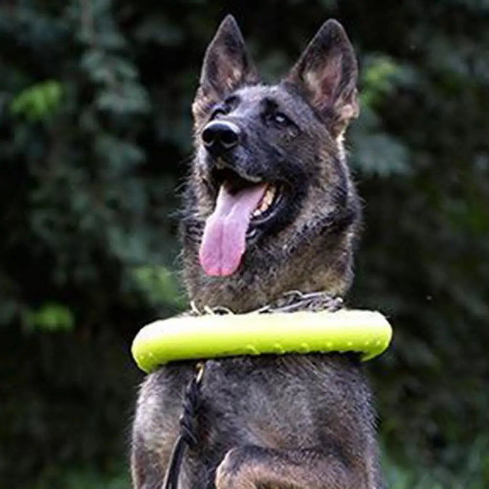 Green Interactive Floating Dog Toy Ring for Chewing & Fetching TrendyPet's Zone