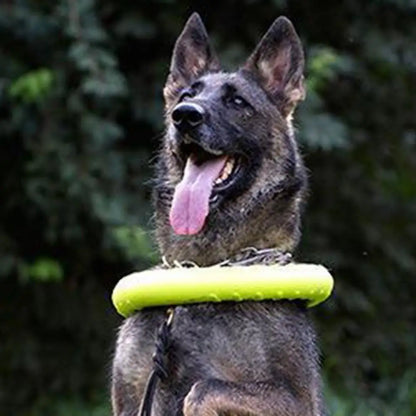 Green Interactive Floating Dog Toy Ring for Chewing & Fetching TrendyPet's Zone