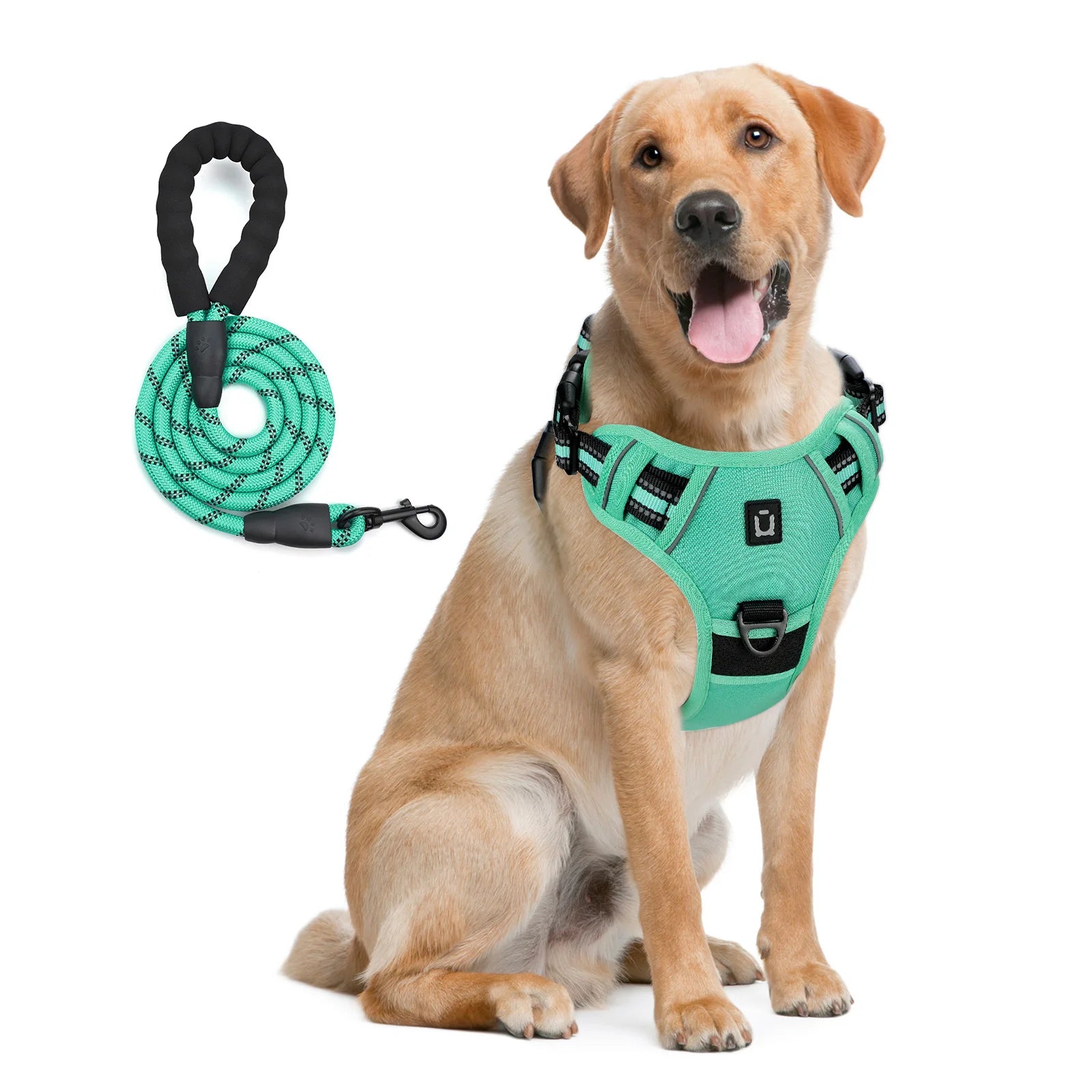 Green No-Pull Dog Adjustable Harness with Easy Control Handle - TrendyPet's Zone
