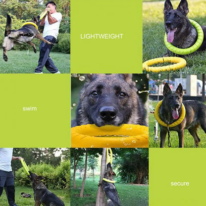 Red Interactive Floating Dog Toy Ring for Chewing & Fetching TrendyPet's Zone