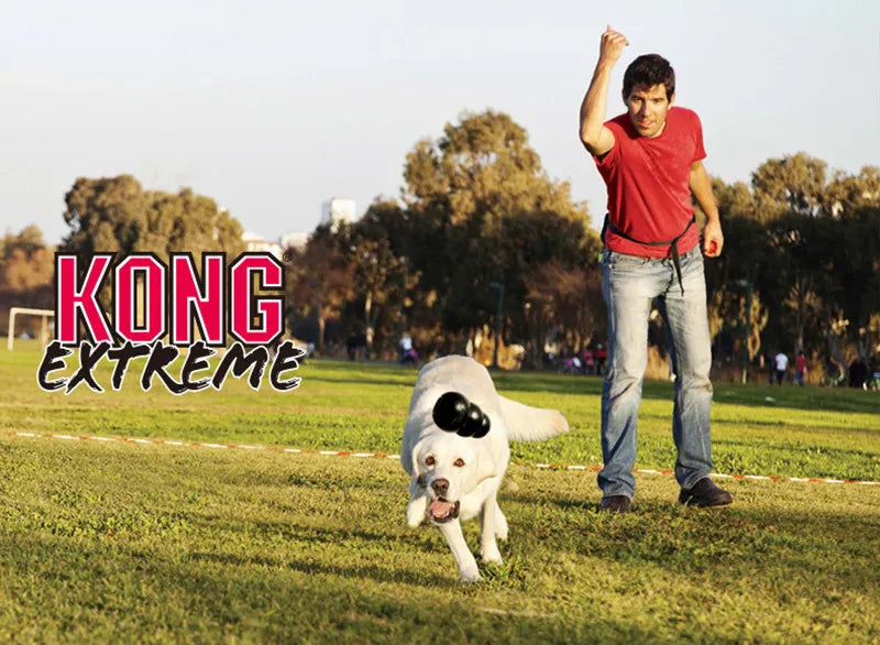 KONG Extreme Dog Toy (S–XXL) Treat Bundle Tough Chew Toy - TrendyPet's Zone