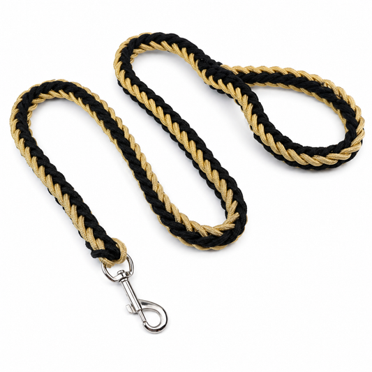 Khaki and black nylon dog leash with double row adjustable collar for medium to large dogs, from TrendyPet's Zone.