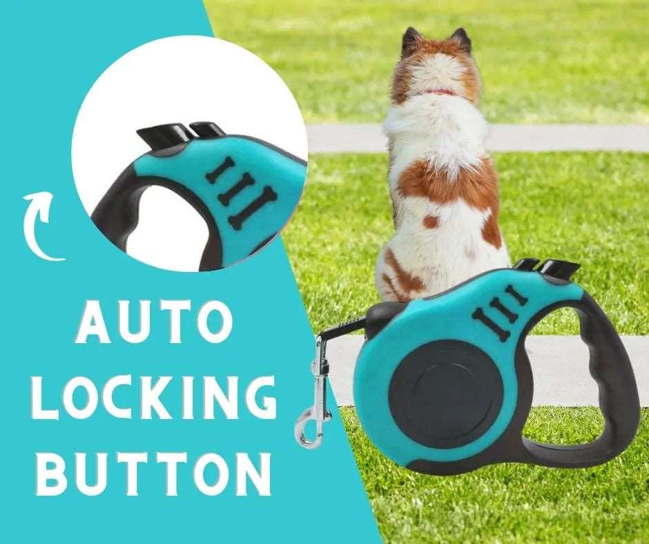Lake Blue Dog Leash 3m 5m Durable Leash Automatic Retractable Nylon Cat Lead Extension Puppy Walking Running Lead Roulette For Dog - TrendyPet's Zone