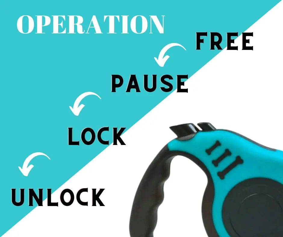 Lake Blue Dog Leash 3m 5m Durable Leash Automatic Retractable Nylon Cat Lead Extension Puppy Walking Running Lead Roulette For Dog - TrendyPet's Zone