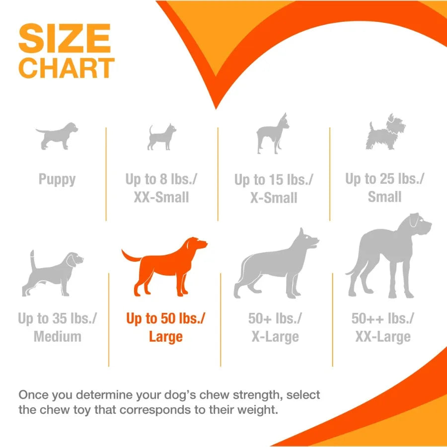 Large Power Chew Dental Toy for Dogs Nylabone EasyHold & Bacon Flavor TrendyPet's Zone