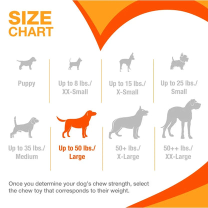 Large Power Chew Dental Toy for Dogs Nylabone EasyHold & Bacon Flavor TrendyPet's Zone