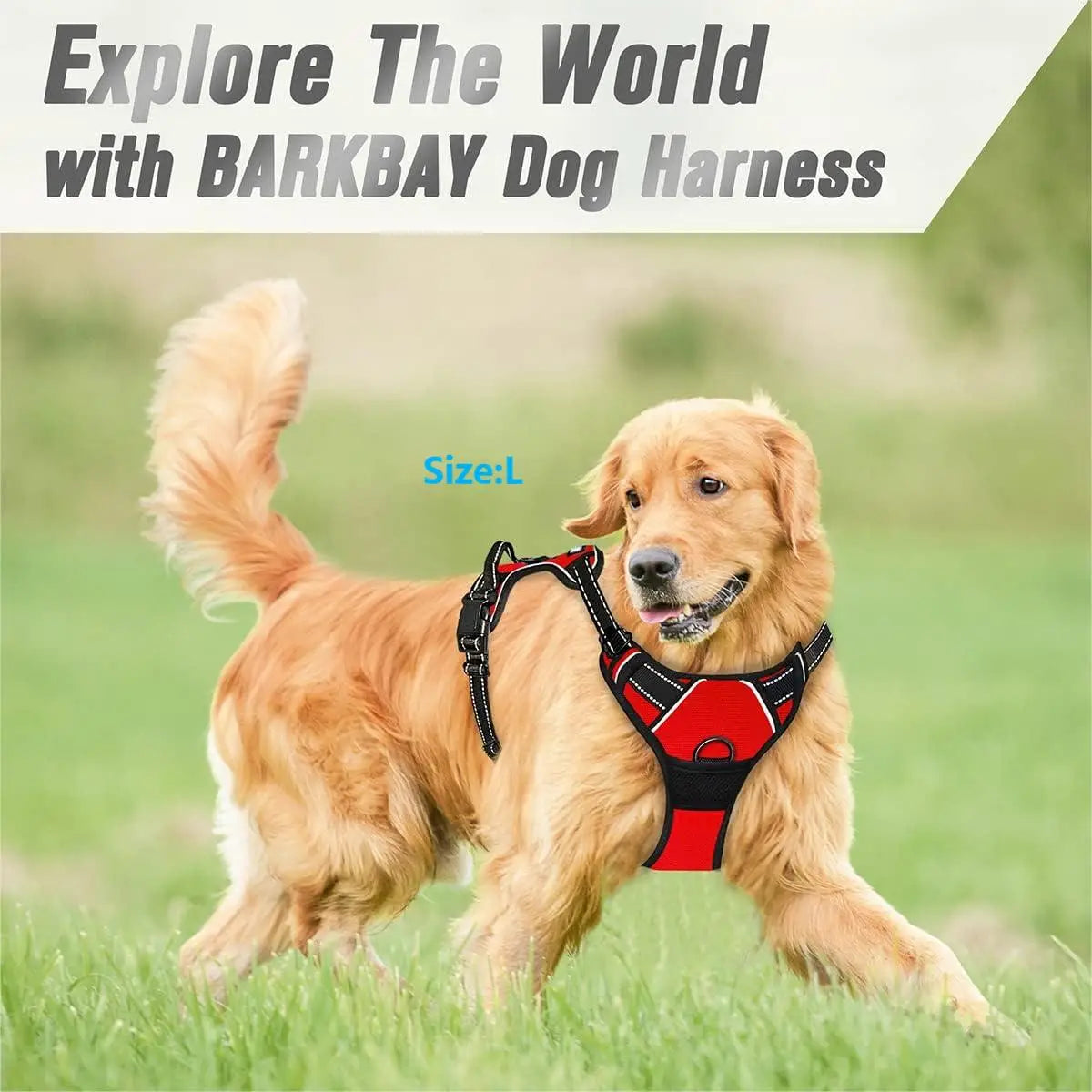 No Pull Dog Harness with Front Clip & Easy Control Handle TrendyPet's Zone