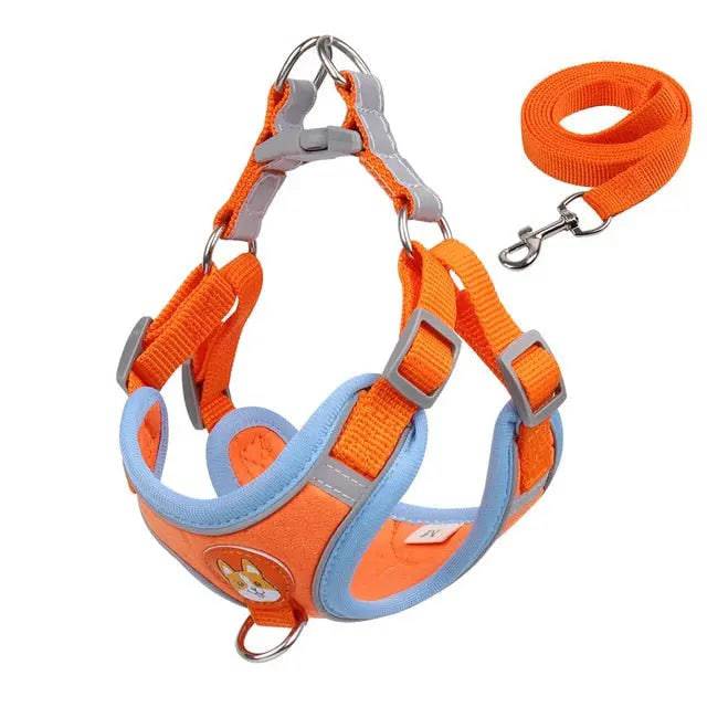 Orange Pet Dog Harness and Leash Set Adjustable Puppy Harness Vest Reflective Walking Lead Leash For Small Dogs Chihuahua - TrendyPet's Zone