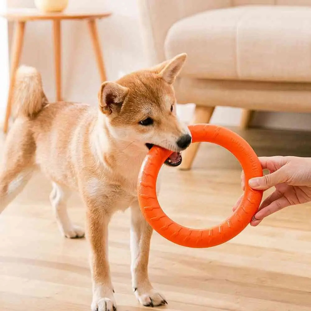 Orange Interactive Floating Dog Toy Ring for Chewing & Fetching TrendyPet's Zone
