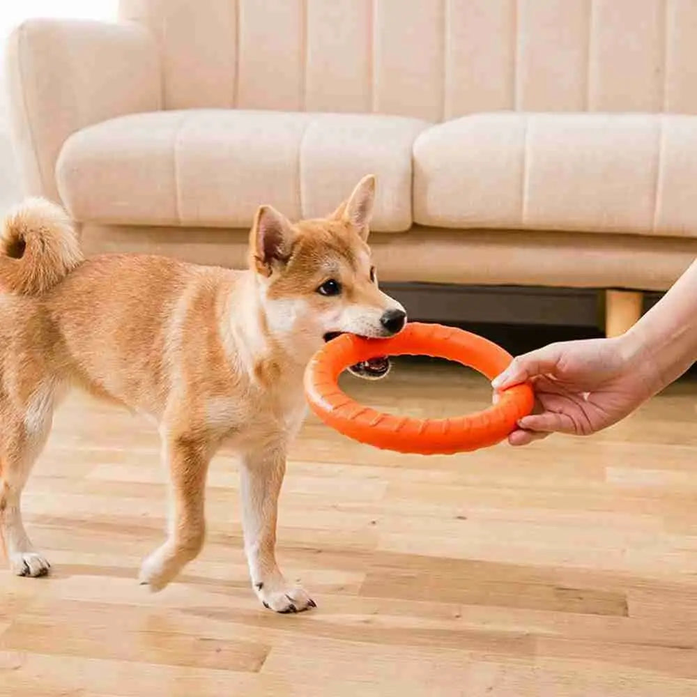 Orange Interactive Floating Dog Toy Ring for Chewing & Fetching TrendyPet's Zone