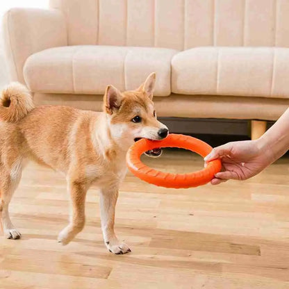 Orange Interactive Floating Dog Toy Ring for Chewing & Fetching TrendyPet's Zone
