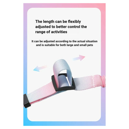 Yellow Pink Pastel Elastic Pet Car Traction Rope Seat Belt Leash – Adjustable Shock-Absorbing Car Safety Harness Tether for Dogs & Cats TrendyPet's Zone