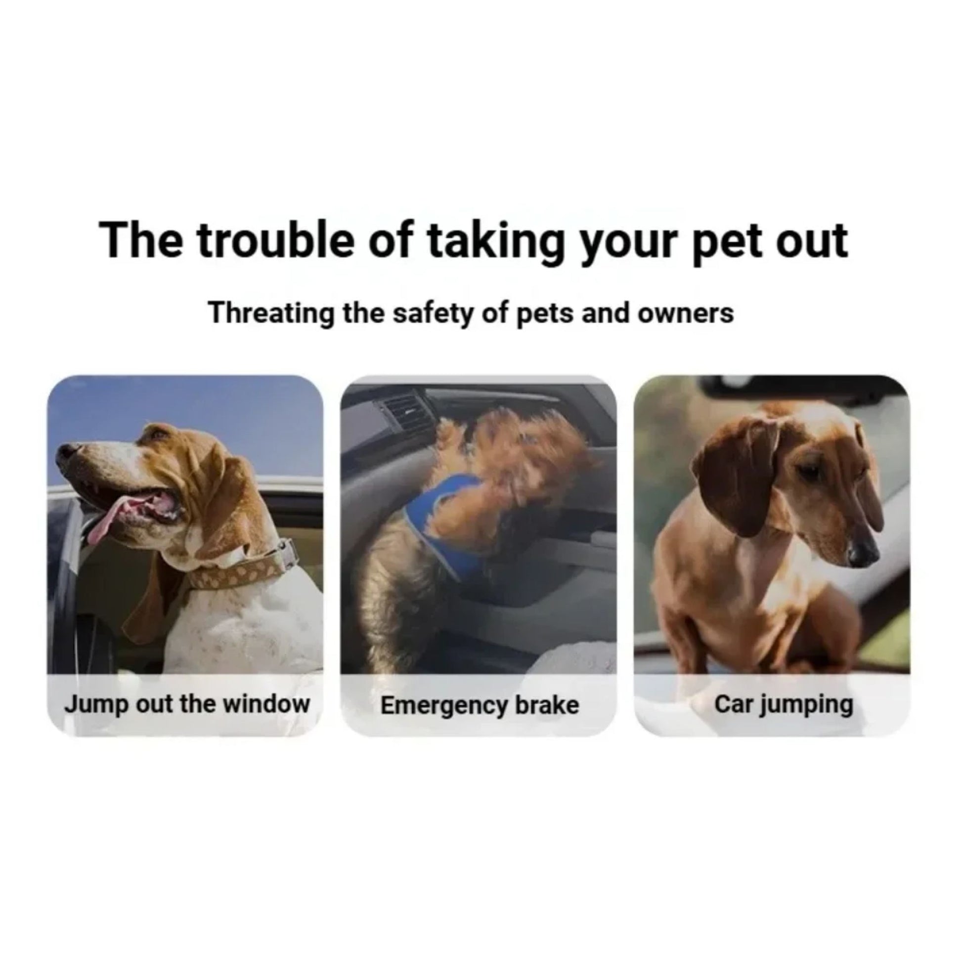 Yellow Pink Pastel Elastic Pet Car Traction Rope Seat Belt Leash – Adjustable Shock-Absorbing Car Safety Harness Tether for Dogs & Cats TrendyPet's Zone