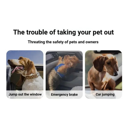 Yellow Pink Pastel Elastic Pet Car Traction Rope Seat Belt Leash – Adjustable Shock-Absorbing Car Safety Harness Tether for Dogs & Cats TrendyPet's Zone