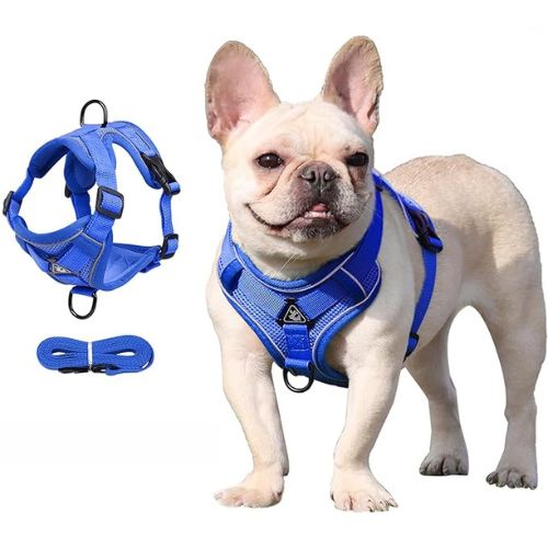 Blue Dog Harness Leash Set Reflective Breathable Vest Adjustable Chest Strap TRENDYPET'S ZONE