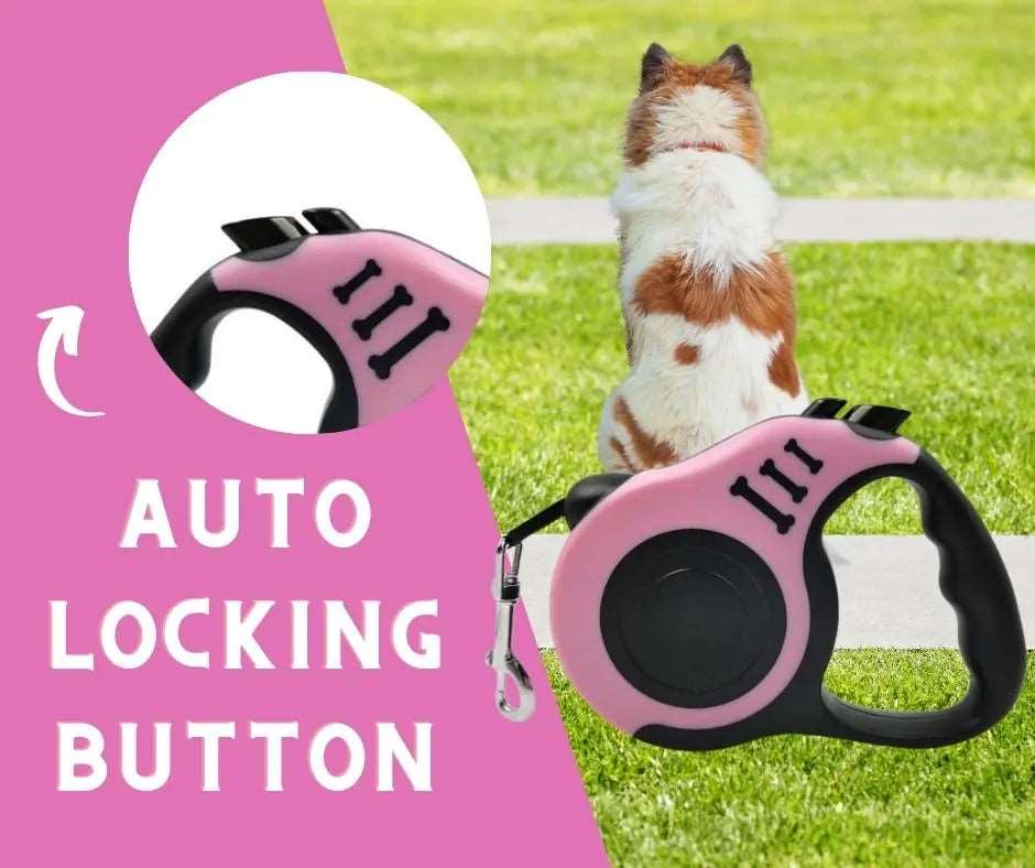 Pink Dog Leash 3m 5m Durable Leash Automatic Retractable Nylon Cat Lead Extension Puppy Walking Running Lead Roulette For Dog - TrendyPet's Zone