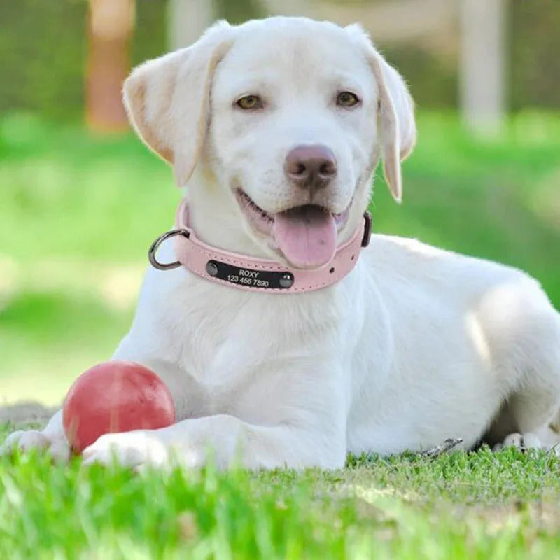 Pink Adjustable PU Leather Dog Collar with ID Tag TRENDYPET'S ZONE