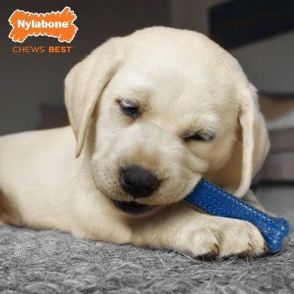 Puppy Soft Teething Starter Pack Ideal Up to 25 lbs - TrendyPet's Zone