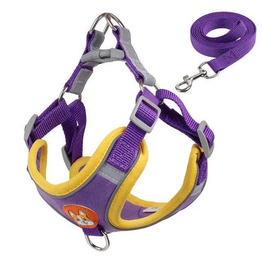 Purple Pet Dog Harness and Leash Set Adjustable Puppy Harness Vest Reflective Walking Lead Leash For Small Dogs Chihuahua - TrendyPet's Zone