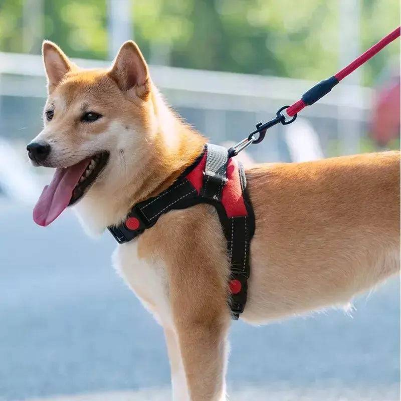 Purple Pet Dogs Adjustable Harness Small and Large Dog Harness Vest - TrendyPet's Zone