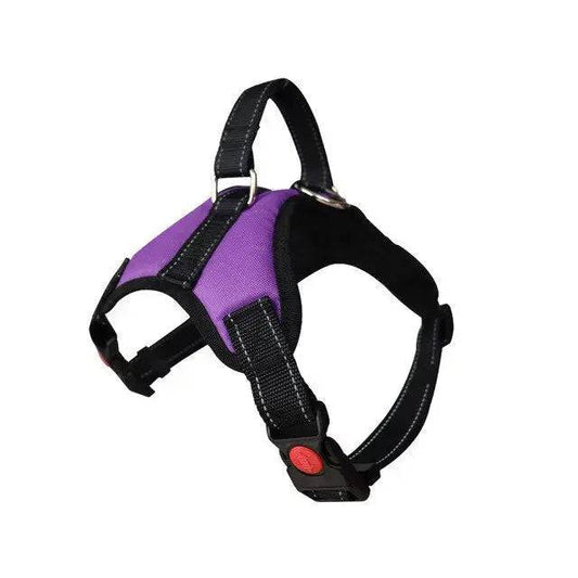 Purple Pet Dogs Adjustable Harness Small and Large Dog Harness Vest - TrendyPet's Zone