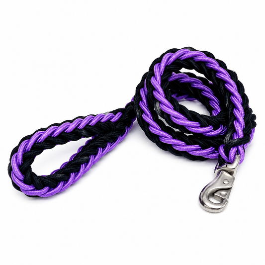 Purple and black nylon dog leash with a double-row adjustable collar for medium to large dogs, designed for durability and control.