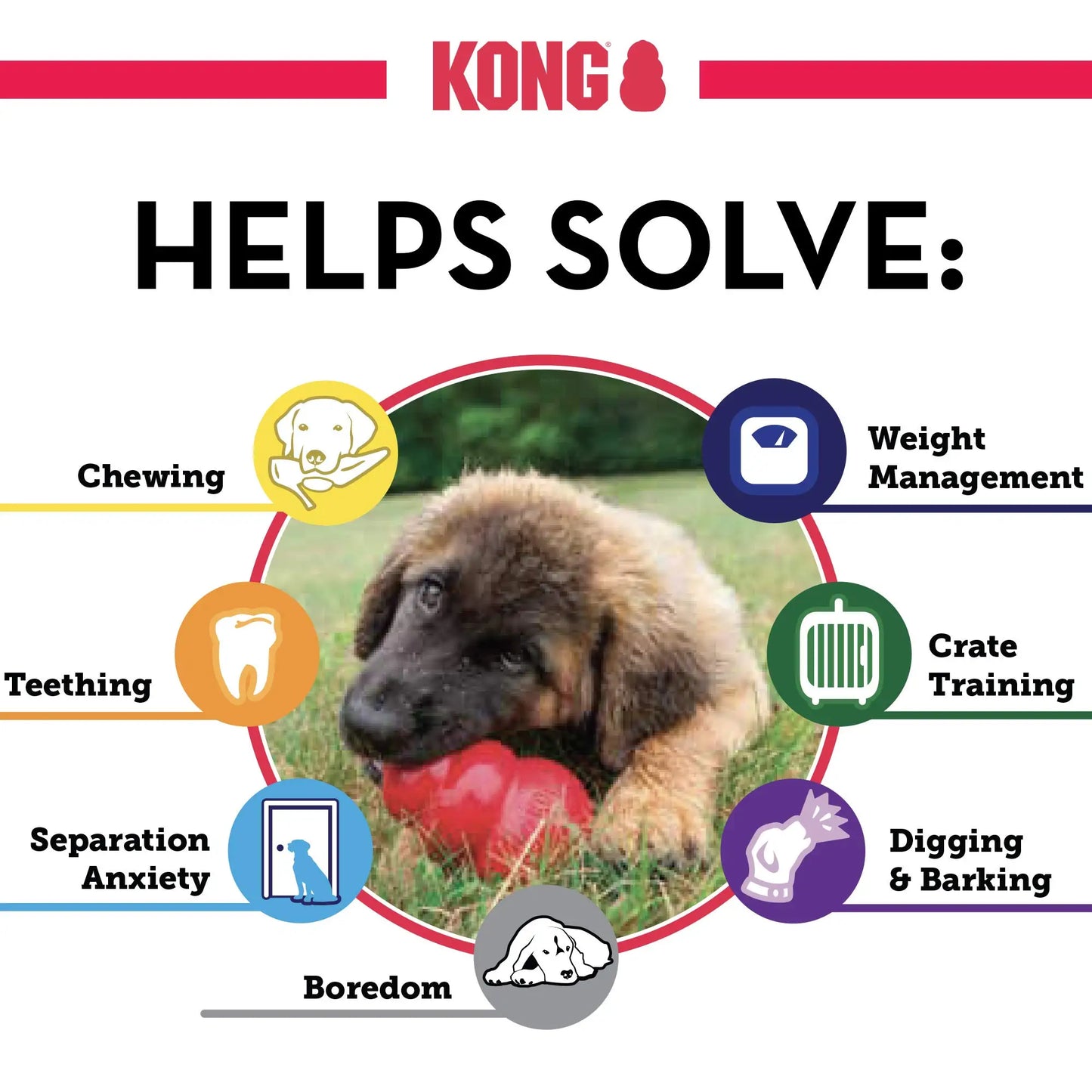 Purple KONG Senior Dog Rubber Toy for Fetch & Chew - TrendyPet's Zone