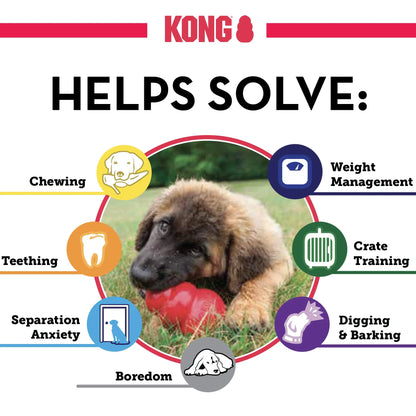 Purple KONG Senior Dog Rubber Toy for Fetch & Chew - TrendyPet's Zone