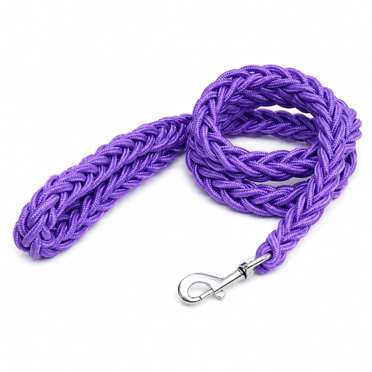 Purple super strong coarse nylon dog leash with double row adjustable collar for medium to large dogs, by TrendyPet's Zone.