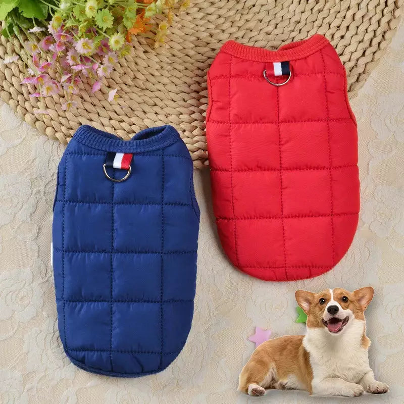 Blue Quilted Dog Vest Jacket – Warm, Lightweight & Stylish Dog Coat TrendyPet's Zone