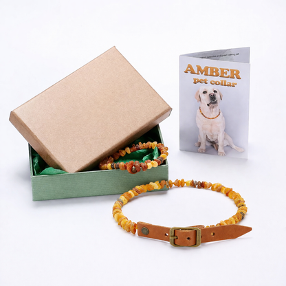 Raw Baltic Amber flea and tick collar for dogs and cats by TrendyPet's Zone, with adjustable leather strap and natural pet protection.