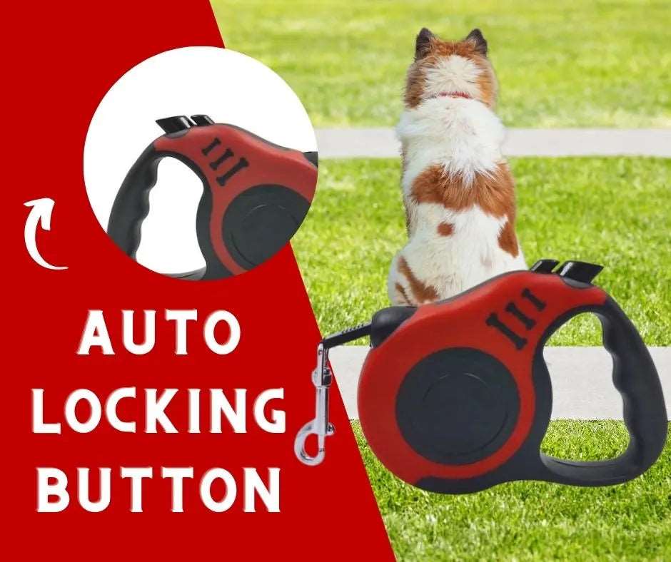 Red Dog Leash 3m 5m Durable Leash Automatic Retractable Nylon Cat Lead Extension Puppy Walking Running Lead Roulette For Dog - TrendyPet's Zone