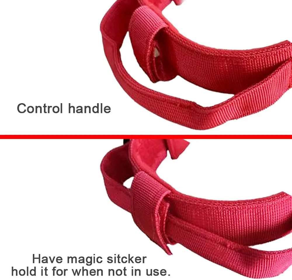 Red Durable Tactical Dog Collar Leash Set Military Pet Collars Heavy Duty For Dogs Training Accessories - TrendyPet's Zone