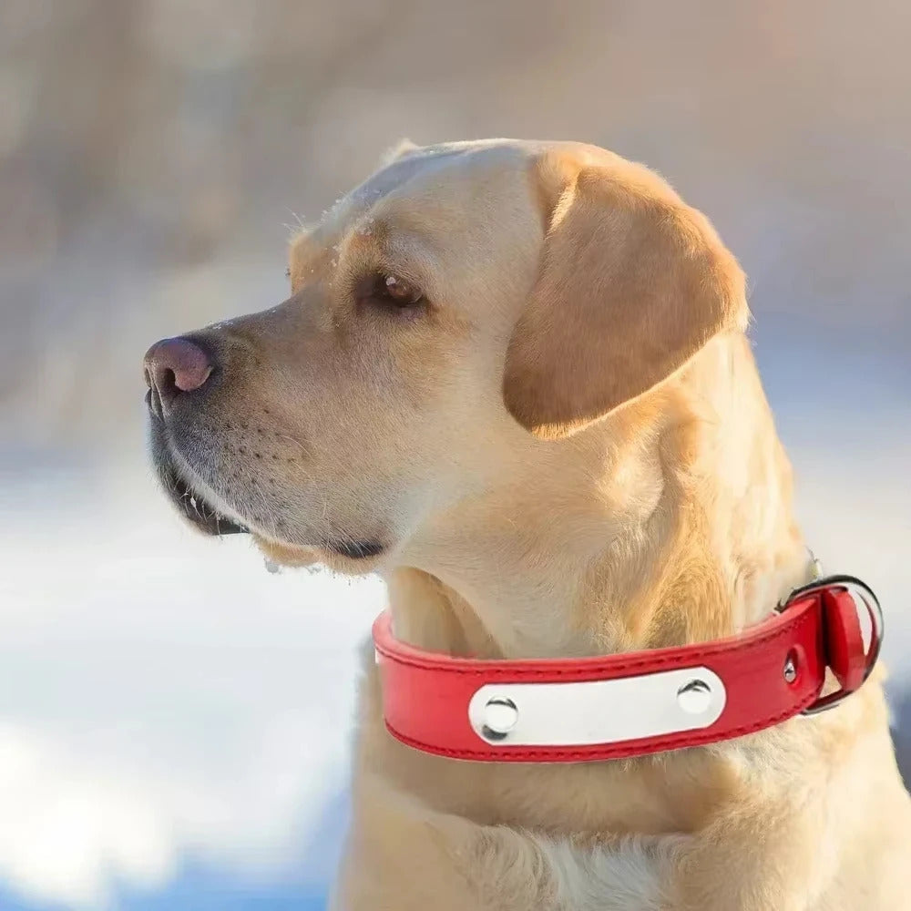Red Adjustable PU Leather Dog Collar with ID Tag - TrendyPet's Zone