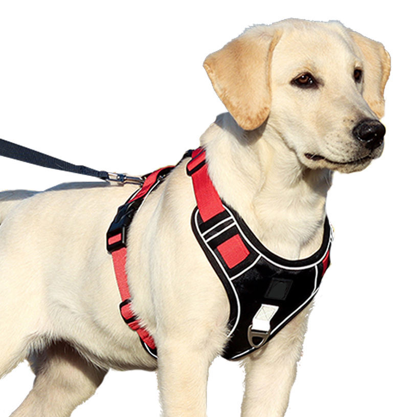Red Adjustable Tactical Dog Harness with a Handle No Pull - TrendyPet's Zone