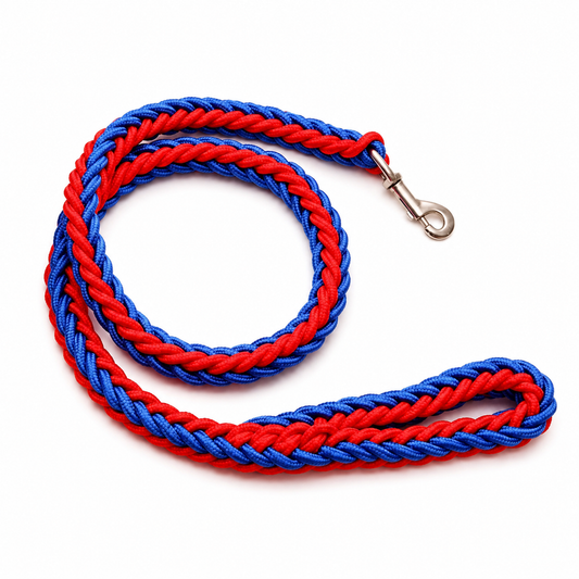 Red and blue super strong coarse nylon dog leash with double row adjustable collar for medium to large dogs by TrendyPet's Zone.