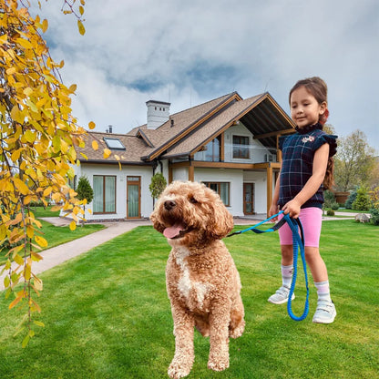 Dark Blue Reflective Shock-Absorbing Dog Leash with Car Safety Buckle TrendyPet's Zone
