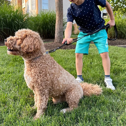 Dark Blue Reflective Shock-Absorbing Dog Leash with Car Safety Buckle TrendyPet's Zone