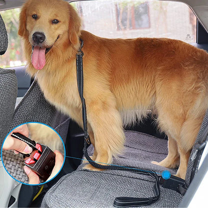 Dark Blue Reflective Shock-Absorbing Dog Leash with Car Safety Buckle TrendyPet's Zone