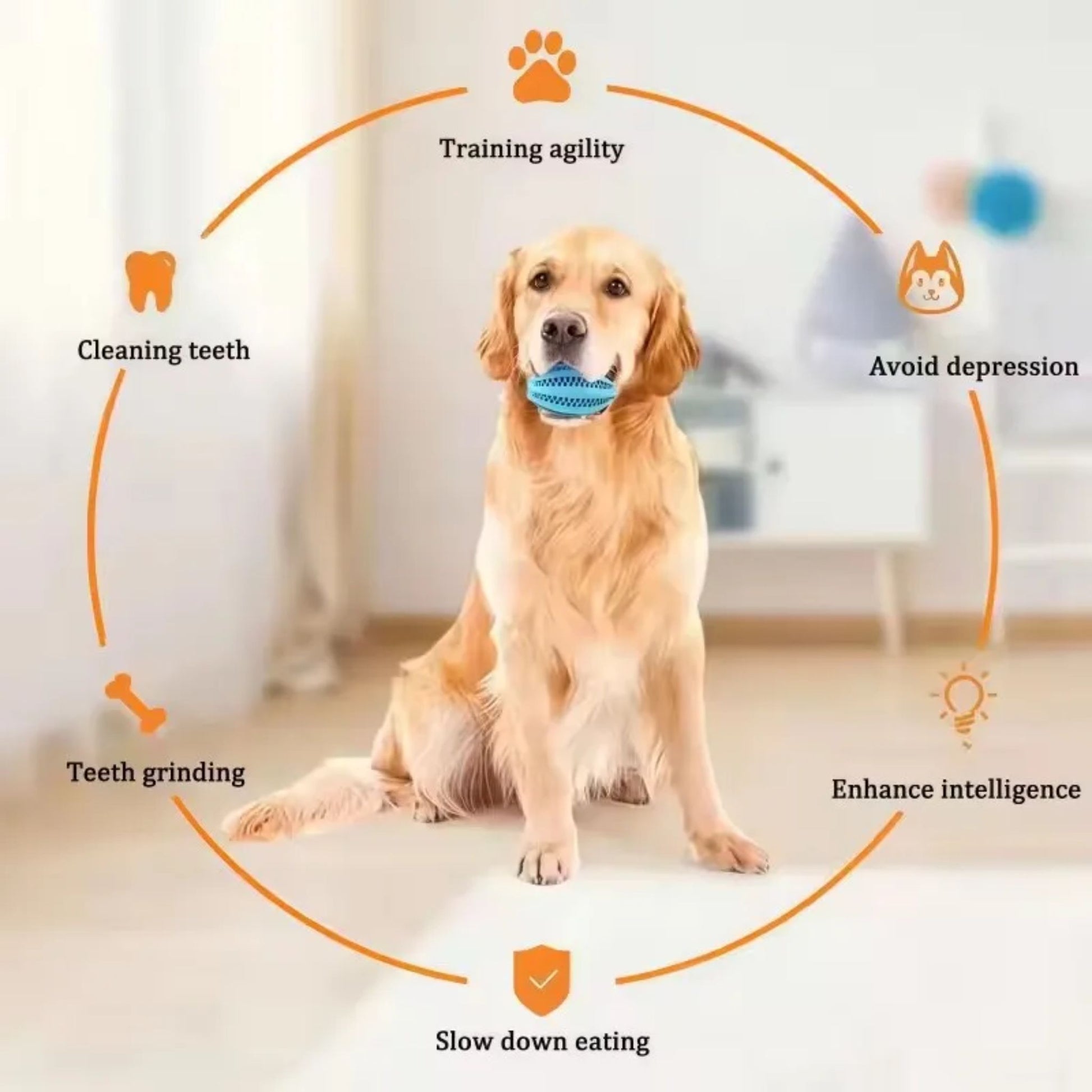 Red rubber dog ball toy from TrendyPet's Zone, interactive treat toy with elasticity and tooth cleaning features for small and large dogs.