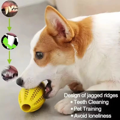 TrendyPet's Zone rubber dog toy ball with elasticity, interactive chew design, and tooth cleaning features for small and large dogs.