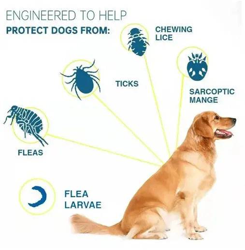 Seresto Small Dog Flea and Tick Collar, 8-Month Flea and Tick Collar for Small Dogs Up to 18lbs 38cm - TrendyPet's Zone