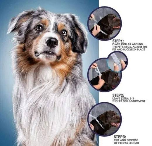Seresto Small Dog Flea and Tick Collar, 8-Month Flea and Tick Collar for Small Dogs Up to 18lbs 38cm - TrendyPet's Zone