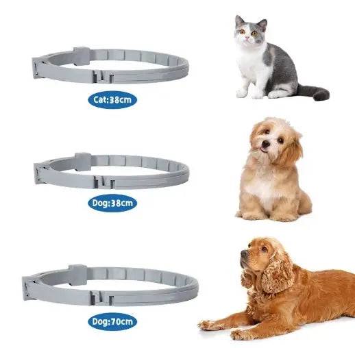 Seresto Small Dog Flea and Tick Collar, 8-Month Flea and Tick Collar for Small Dogs Up to 18lbs 38cm - TrendyPet's Zone