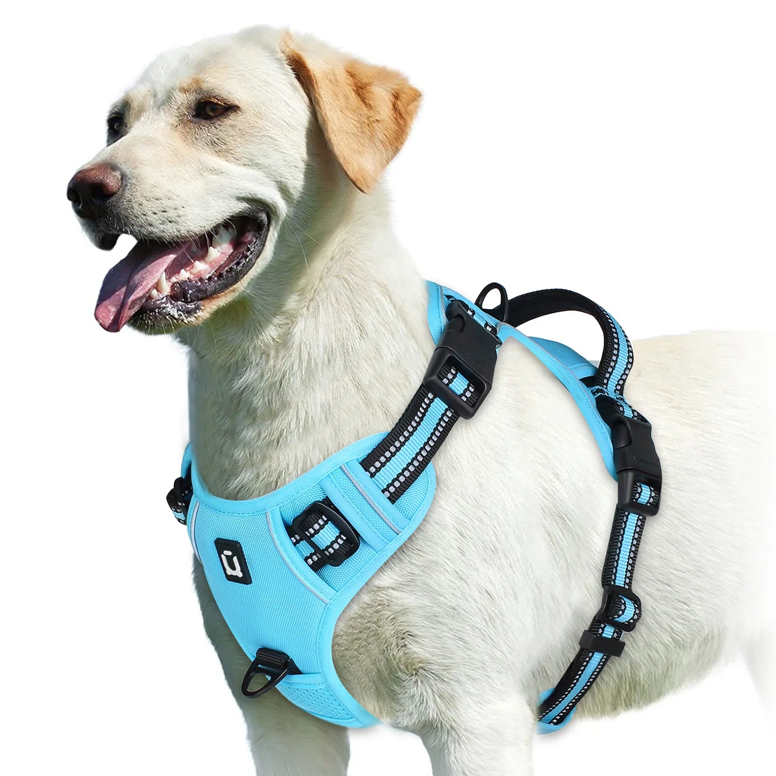 Sky Blue No-Pull Dog Adjustable Harness with Easy Control Handle - TrendyPet's Zone