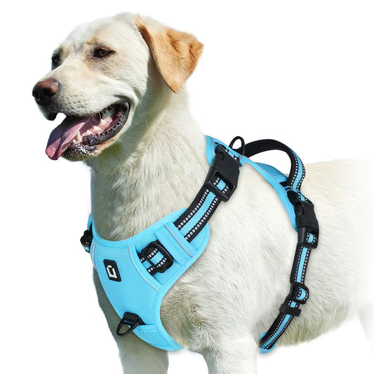 Sky Blue No-Pull Dog Adjustable Harness with Easy Control Handle - TrendyPet's Zone