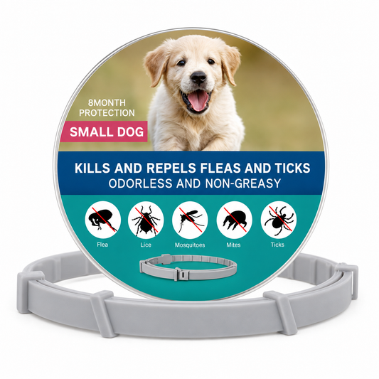 Small dog wearing TrendyPet's Zone flea and tick collar, 8-month protection collar for flea and tick prevention.